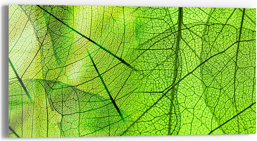 DEQORI Glasbild Echtglas 60x30 cm 'Transparente Produktbild 