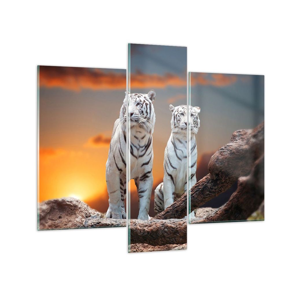 Bilder auf glas - Tiger weiß Rock Sonnenuntergang - 95x80cm - Glasbilder - Wandbilder - Kunstdruck - zum Aufhängen bereit - Wanddekoration aus Gl...