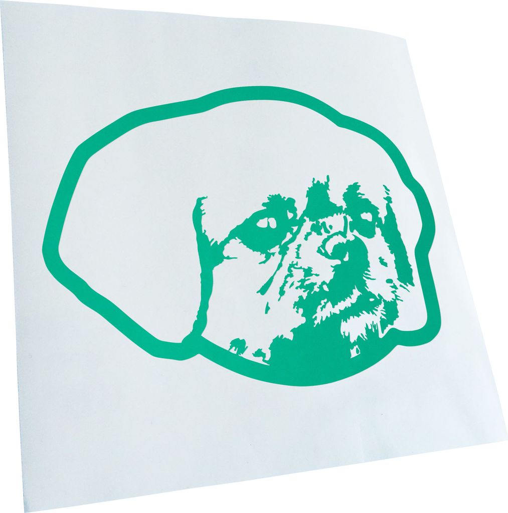 Kiwistar - Autoaufkleber - Tibetan Spaniel Hund - Türkis - 24x17cm - Aufkleber für Auto, Laptop, Fahrrad, LKW, Motorrad Mehrfarbig JDM Decal Racing