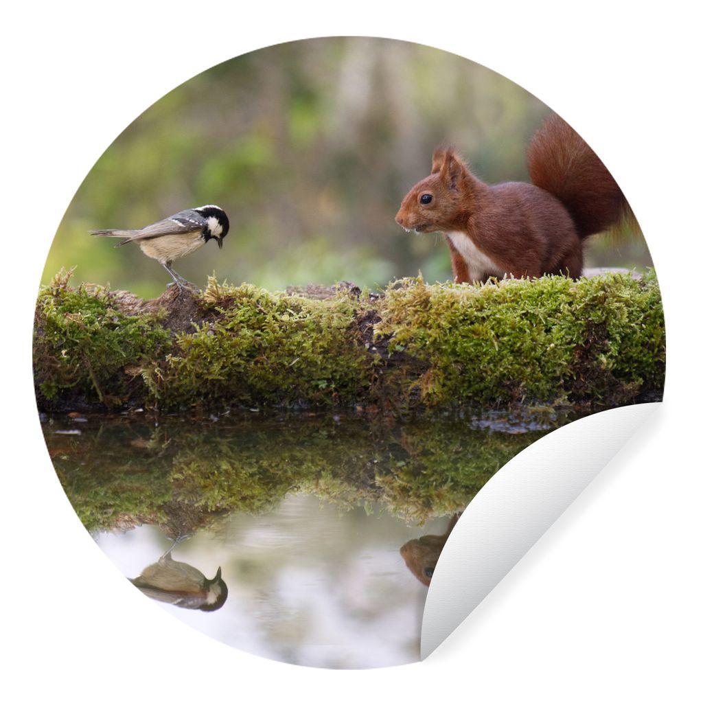 MuchoWow Runde Wandtattoo - Wandsticker Tapete Aufkleber Waldtiere - Wasser - Moos Ø 30 cm Selbstklebend und Repositionierbar - Wandaufkleber - ...