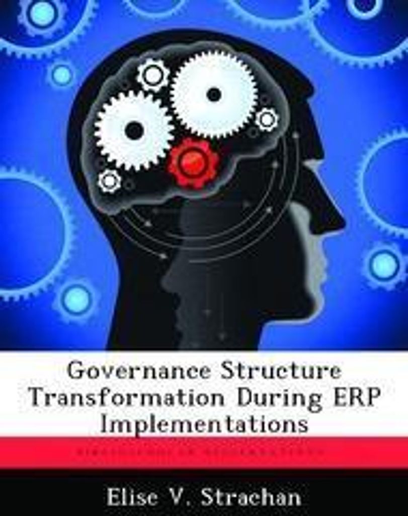 Governance Structure Transformation During ERP Implementations