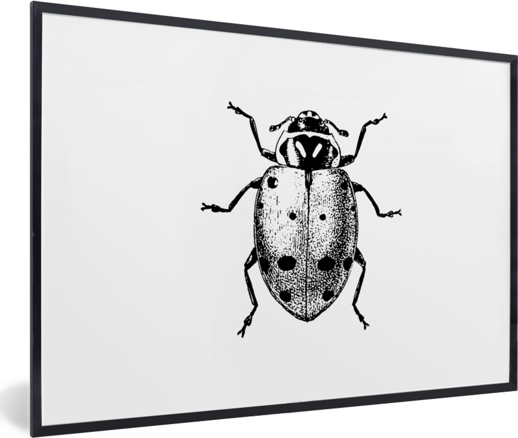 MuchoWow Gerahmtes Poster Vintage - Marienkäfer - Insekten - Schwarz und weiß 90x60 cm - Poster mit Schwarzem Bilderrahmen Wandposter Rahmen Fo...