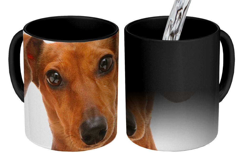 KitchenYeah Zauber Tasse Zaubertasse Magic Porträt eines goldbraunen Dackels 350 ml Farbwechsel Becher Geschenk Geschenkidee - Magic-Tasse - Fot...