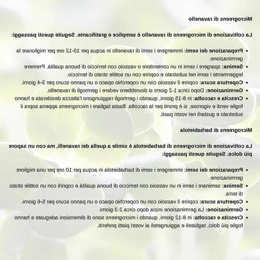 Kit de semences Microgreen Sprouting Mix Nojus : 11 sachets variés