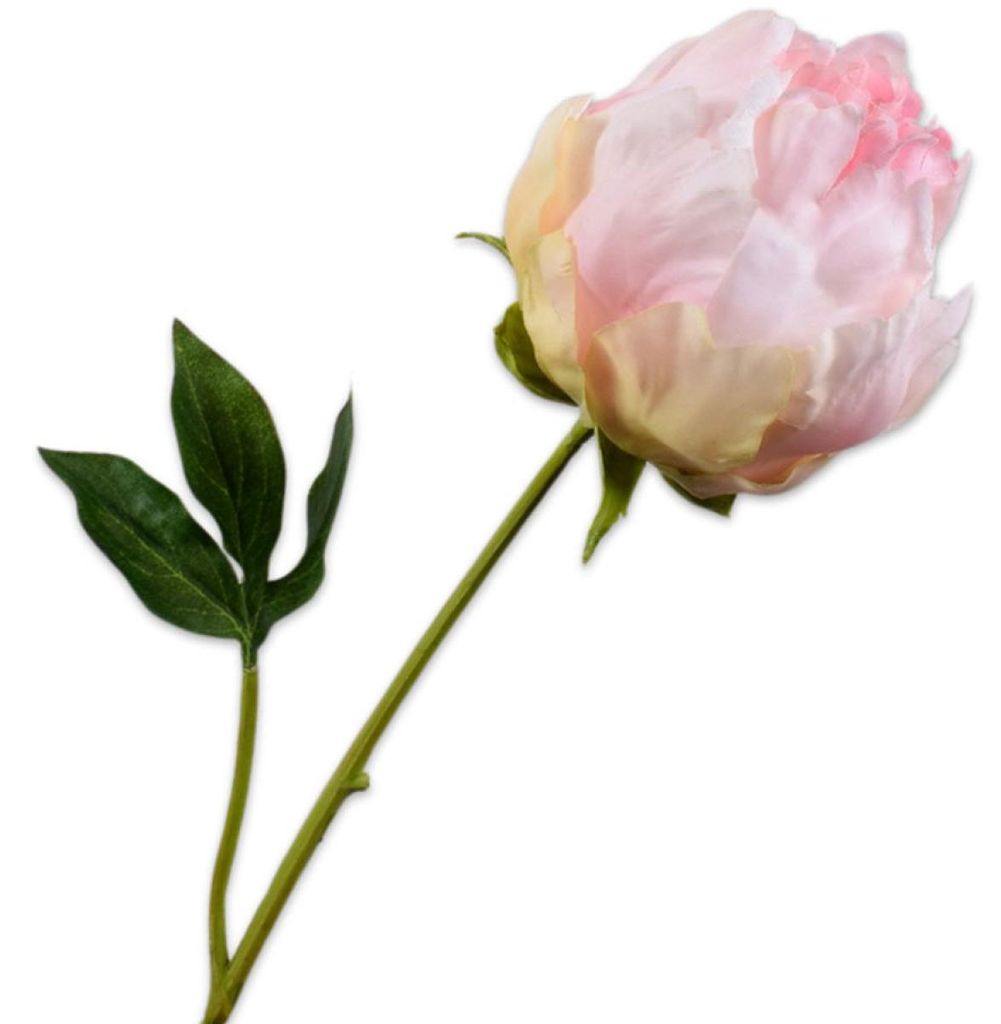 Silk-ka Seidenblume Pfingstrose Knospe Pfirsich (58cm) Produktbild 