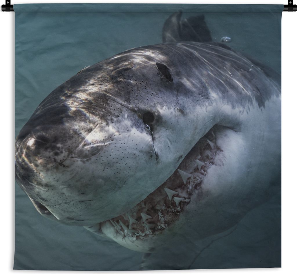 MuchoWow Wandteppich Wandbehang Hai - Weiß - Wasser 120x120 cm Tapisserie Dekoration Wandtuch - Modern - Baumwollgewebe