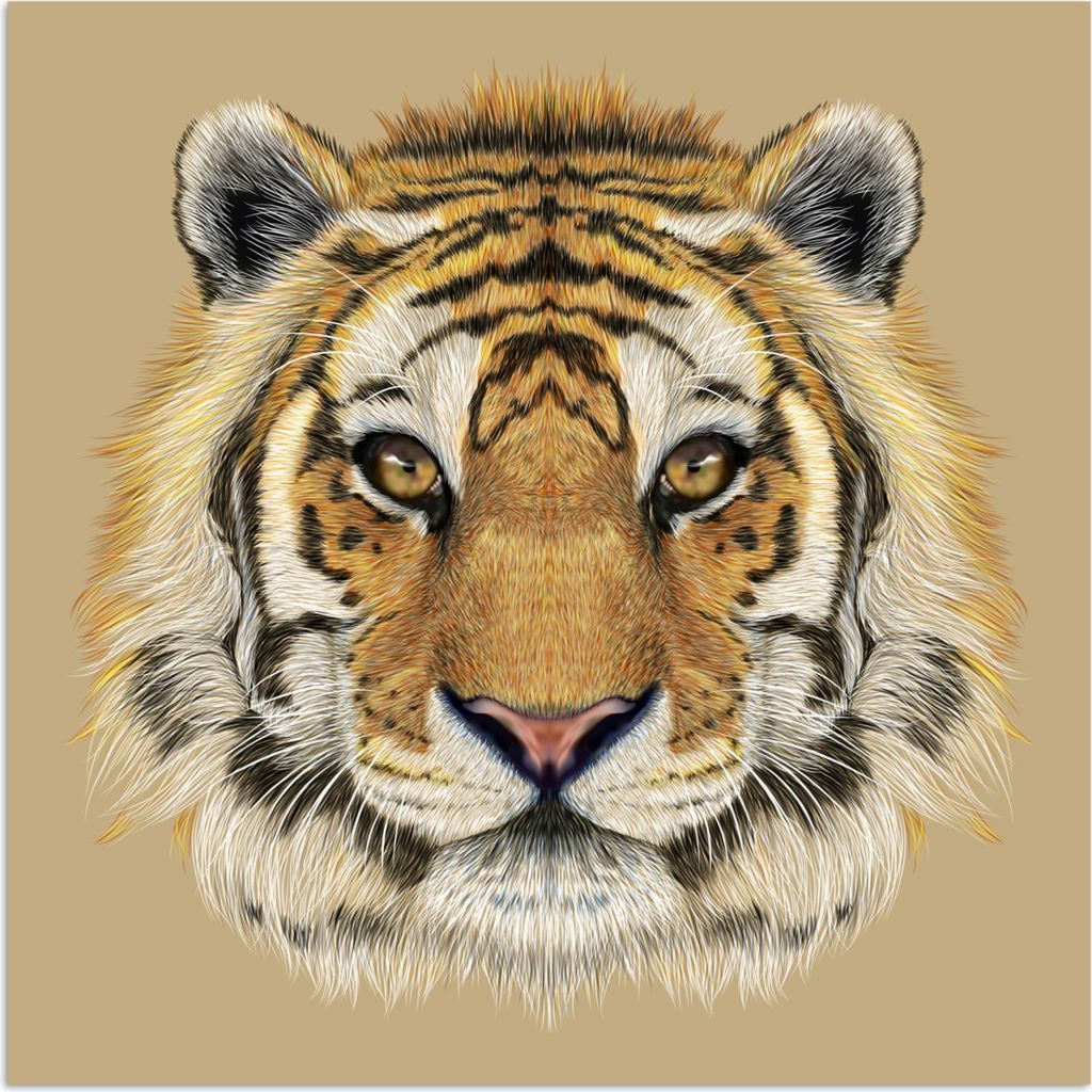 MuchoWow Poster Tiger - Jungtier - Tiere 100x100 cm - Babyzimmer