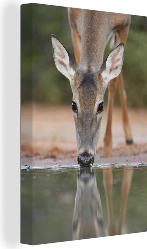 OneMillionCanvasses - Leinwandbilder - 90x140 cm, Hirsch - Trinken - Wasser - Reflexion, Wandbilder Kunstdruck Wanddekoration - Wandschmucke - Sc...