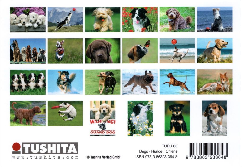 Postkartenbuch "Dogs * Hunde * Chiens" mit 24 süßen Hundemotiven