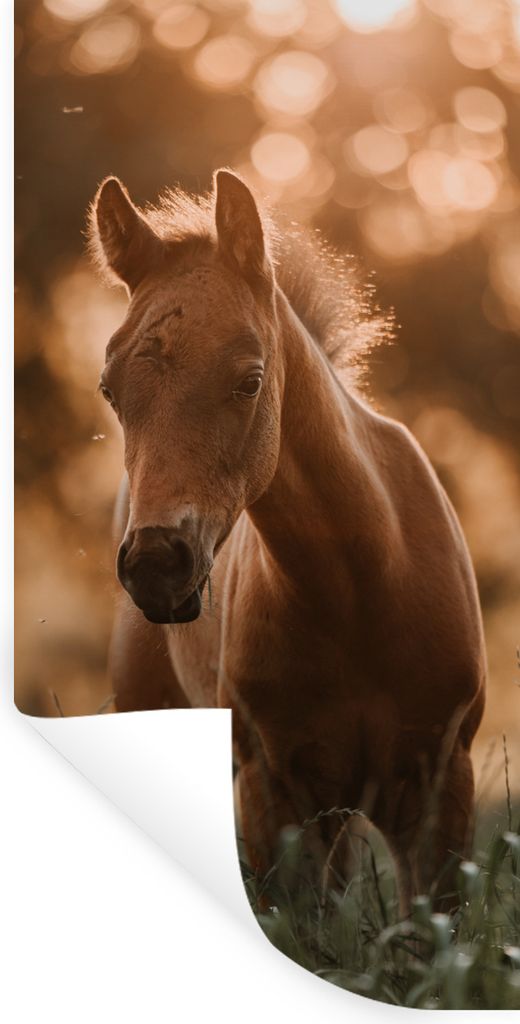 MuchoWow Wandtattoo Wandsticker Wandaufkleber Pferd - Licht - Landschaft 20x40 cm Selbstklebend und Repositionierbar - Selbstklebend - Fototapeten