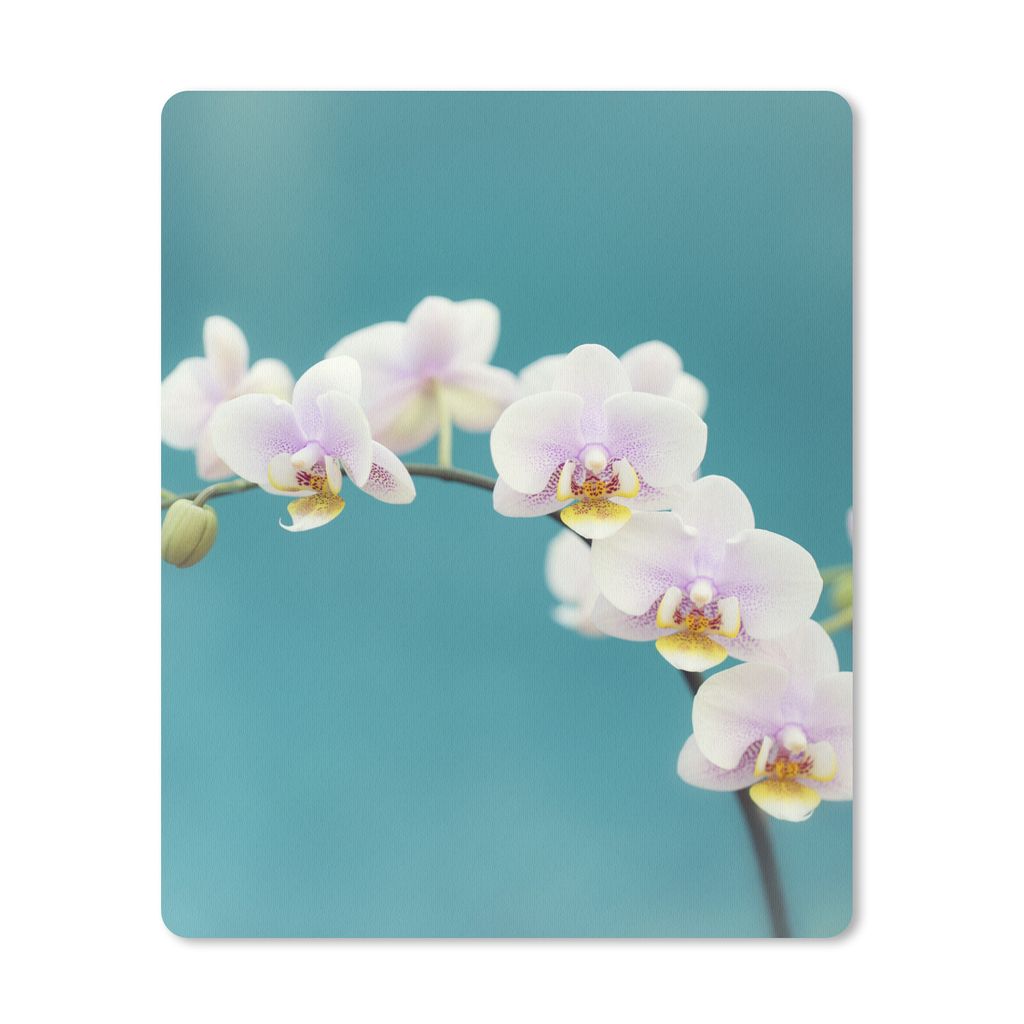 MuchoWow Mauspad Mousepad Orchidee - Blumen - Pflanze - Weiß - Lila 19x23 cm - Mousepads - Maus Mat - Pad - Mausunterlage - Mauspads - Spielen