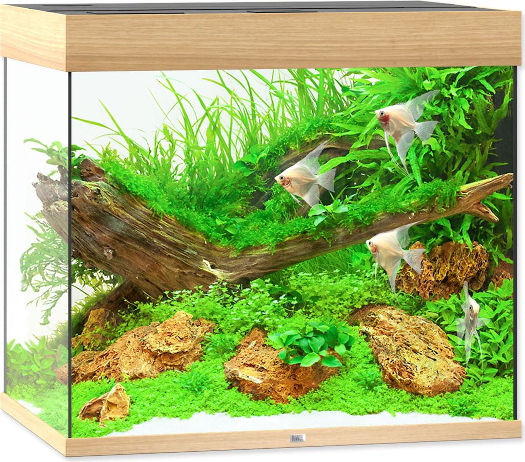 Aquarium JUWEL Lido 200 mit LED-Beleuchtung, Pumpe, Filter, Heizer ohne Unterschrank helles Holz