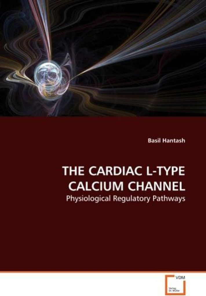 Hantash, B: CARDIAC L-TYPE CALCIUM CHANNEL