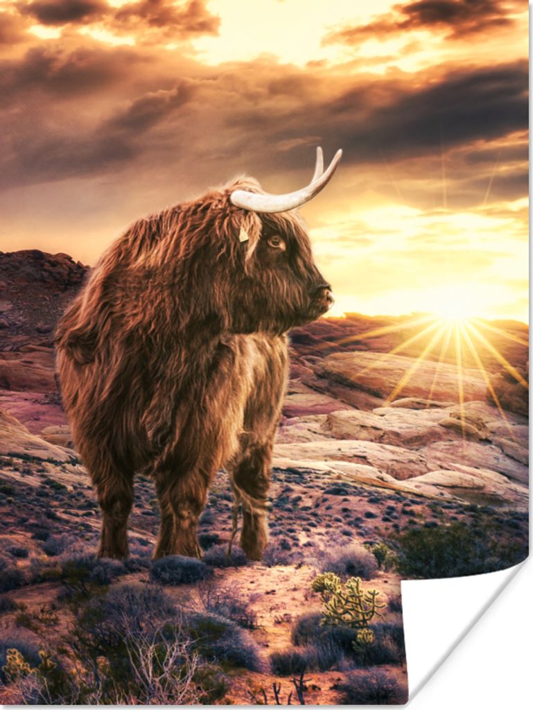MuchoWow® Poster Schottische Highlander - Sonne - Produktbild 