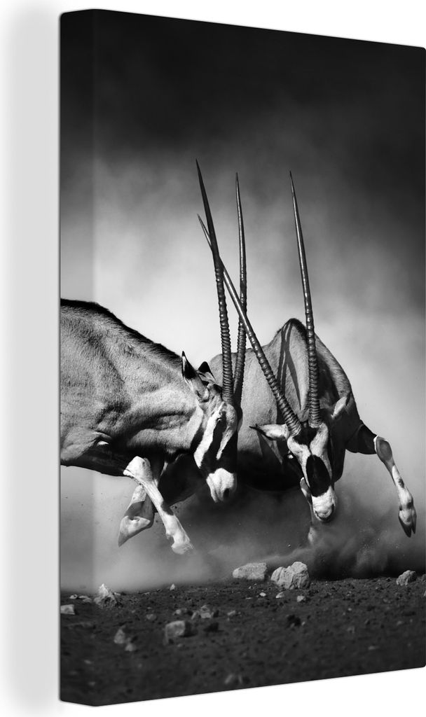 OneMillionCanvasses - Leinwandbilder - 90x140 cm, Antilope - Schwarz und weiß - Porträt - Wildtiere - Tiere, Wandbilder Kunstdruck Wanddekorati...