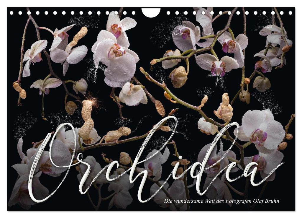Orchidea (Wandkalender 2027 DIN A4 quer), CALVENDO Monatskalender