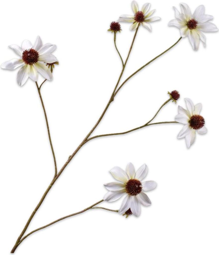 Silk-ka Kunstblume - Seidenblume Rudbeckia Zweig weiß 91 cm Produktbild 