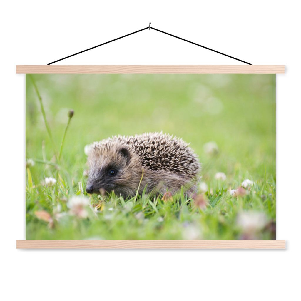 MuchoWow Textilposter Kleiner Igel im Gras 60x40 cm mit holzfarbenen Rahmen - Bilder