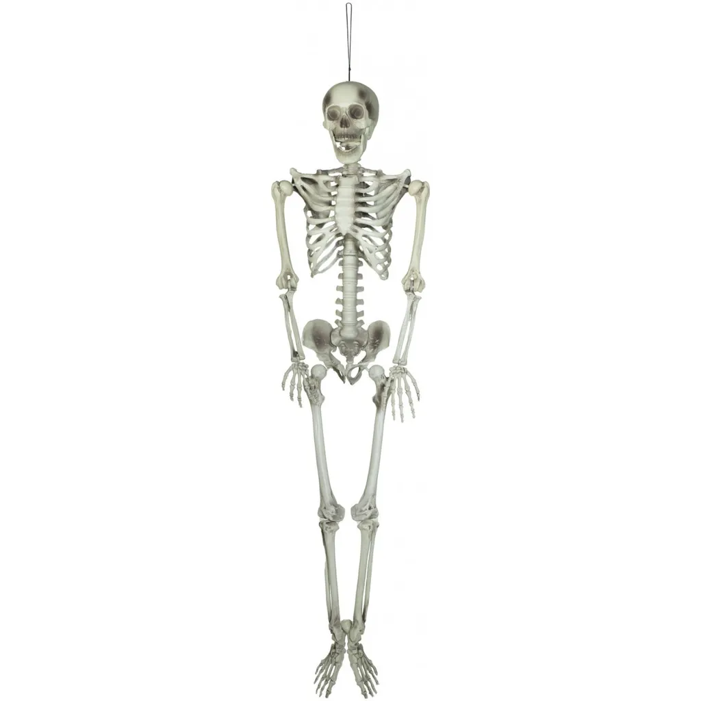 Squelette d'Halloween réaliste 150 cm pour décorations extérieures