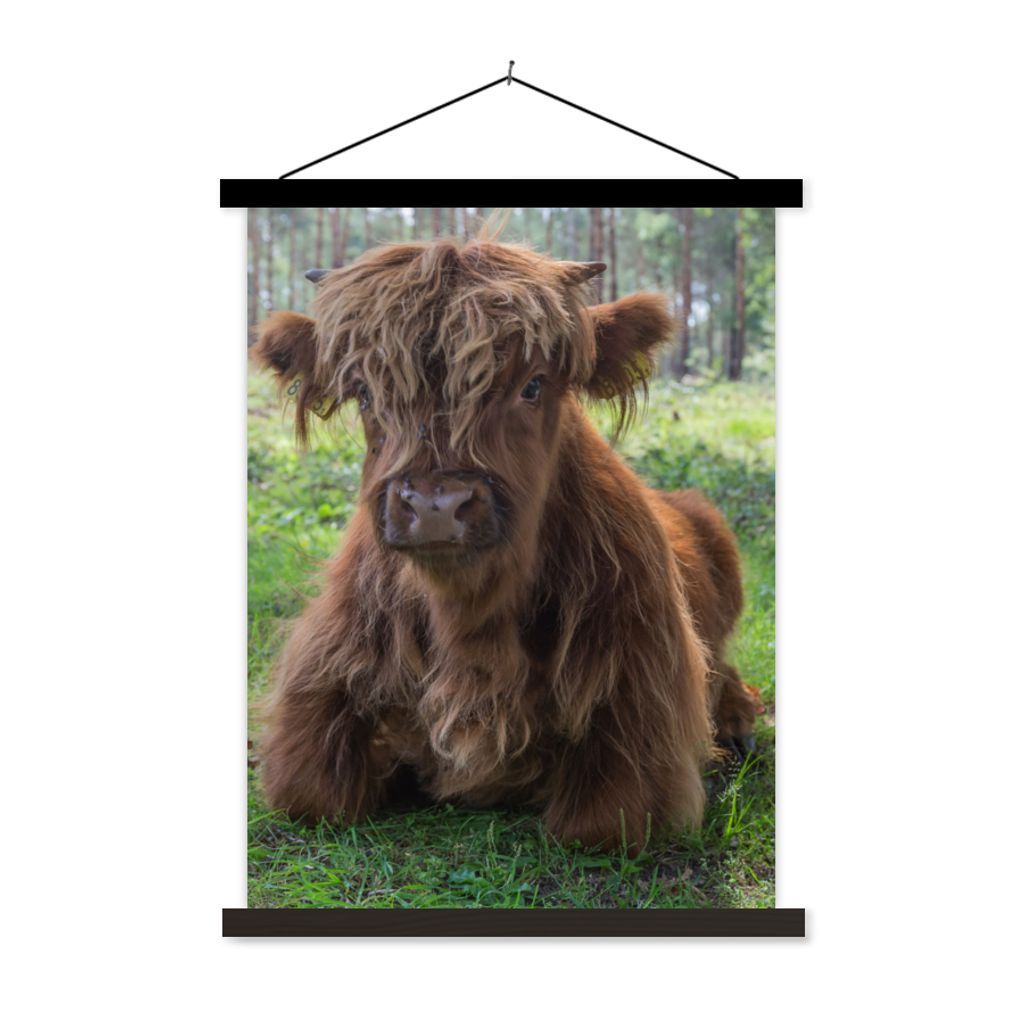 MuchoWow Textilposter Schottischer Highlander - Kröte - Tiere 60x80 cm mit schwarzem Rahmen - Plakathalter