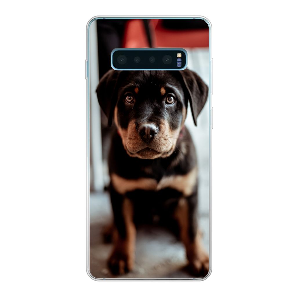 MuchoWow Handyhülle Schutzhülle Hülle für Samsung Galaxy S10 Plus Jung - Hund - Kamera Silikon Softcase Handy Hülle - Schutzhülle