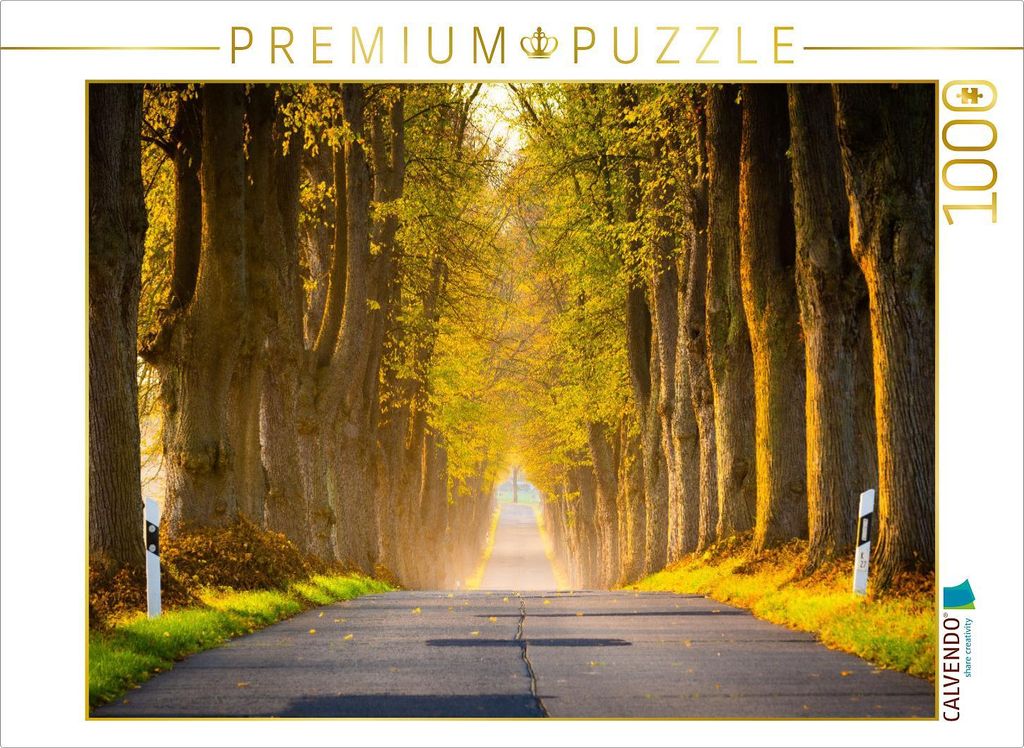 CALVENDO Puzzle Herbstmorgen auf Insel Usedom | 1000 Teile Lege-Größe 64x48cm Foto-Puzzle für glückliche Stunden
