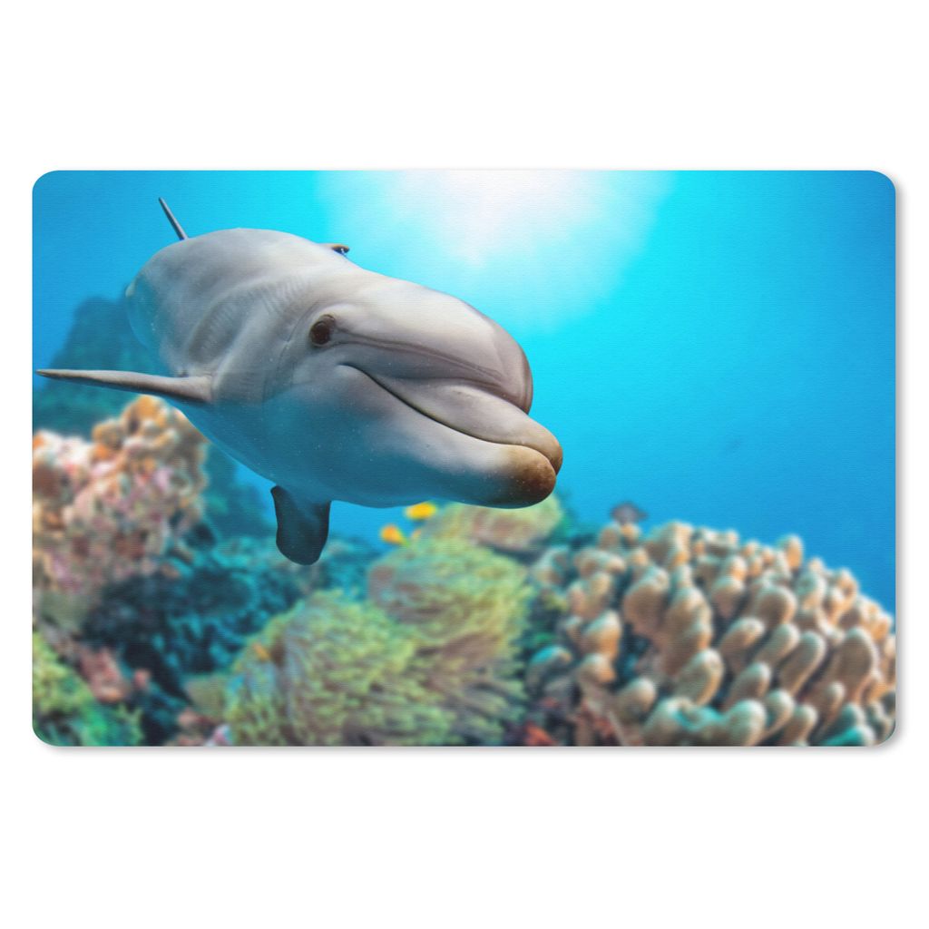 MuchoWow Mauspad Mousepad Delfin - Meer - Koralle 27x18 cm - Mousepads - Maus Mat - Pad - Mausunterlage - Büroartikel - Desk Matten