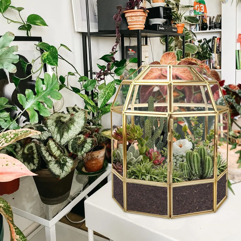 Serre Miniature Décorative Style Cage à Oiseaux Dorée pour Cactus 18cm