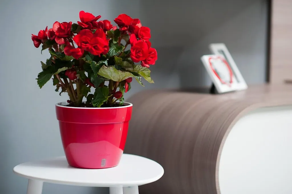 Pot de fleurs avec indicateur de niveau d'eau ASTI 20cm - Design moderne