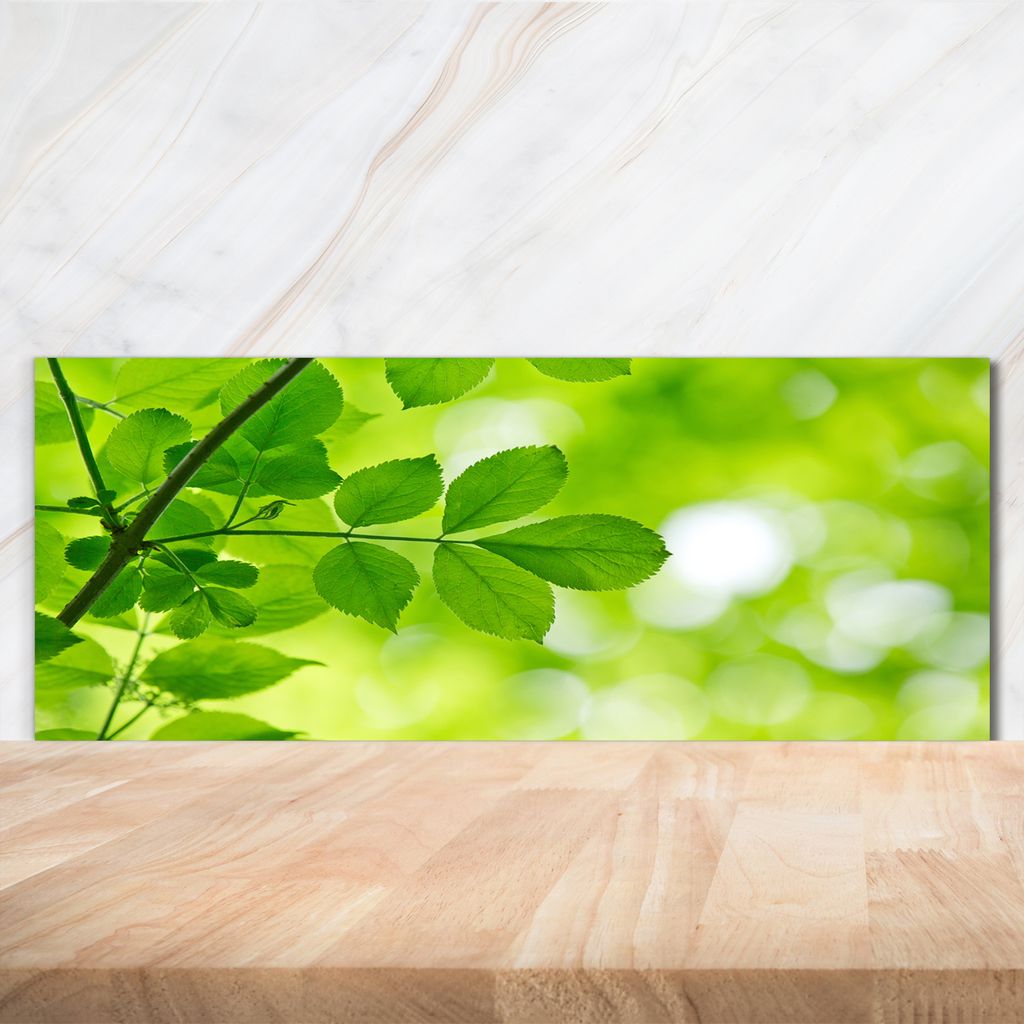 Tulup Küchenrückwand Spritzschutz aus Glas -125x50 -Spritzschutz auf gehärtetes Glas Deko Blumen & Pflanzen Grüne Blätter