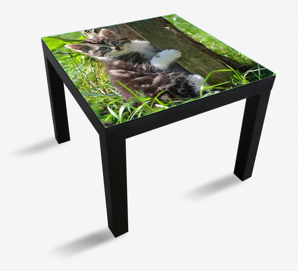 Wallario Möbeldesign - Glasplatte, Schutzplatte mit Motiv - geeignet für Ikea Lack Tisch, Größe: 55 x 55 cm, Motiv: Süßes Kätzchen an einem...