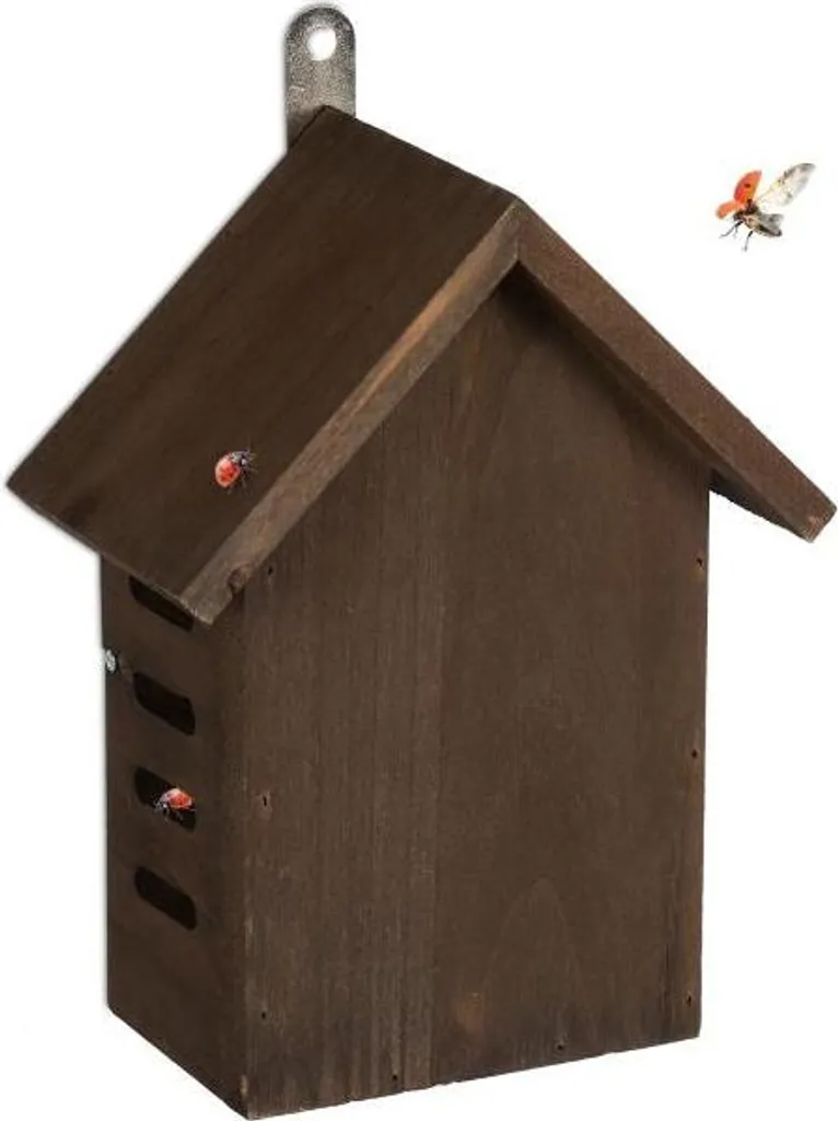 Hotel per Coccinelle Legno di Pino - Lotta Integrata Bio per Balcone