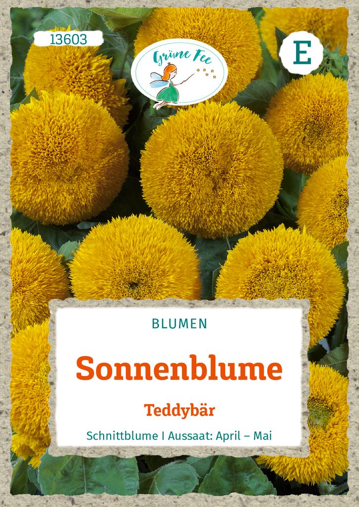 Grüne Fee - Sonnenblume Teddybär Samen - 13603 Produktbild 