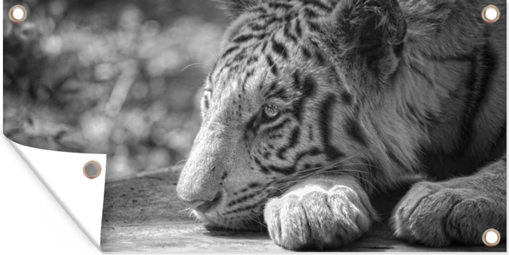MuchoWow 60x30 cm Outdoor-Poster Gartendeko Sichtschutz Garten Poster für den Garten Tiger - Wild - Porträt