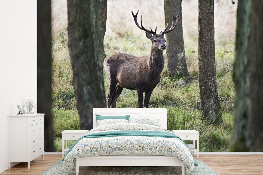 MuchoWow Fototapete für Wohnzimmer oder Schlafzimmer Wandtapete Vinyl Motivtapete Hirsche - Bäume - Gras - 420x280 cm - Zimmer für Kinder