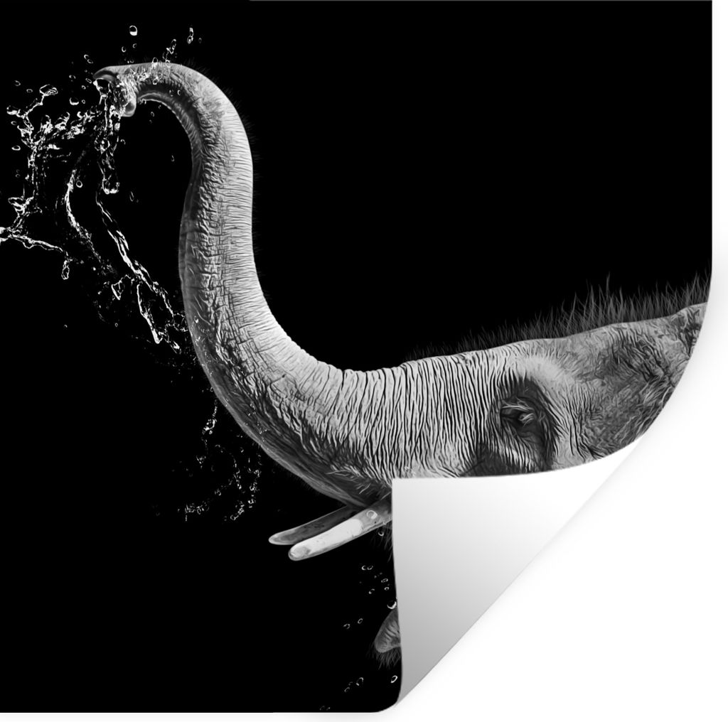 MuchoWow Wandtattoo Wandsticker Wandaufkleber Porträt - Elefant - Tiere - Schwarz und weiß 100x100 cm Selbstklebend und Repositionierbar - Wier...