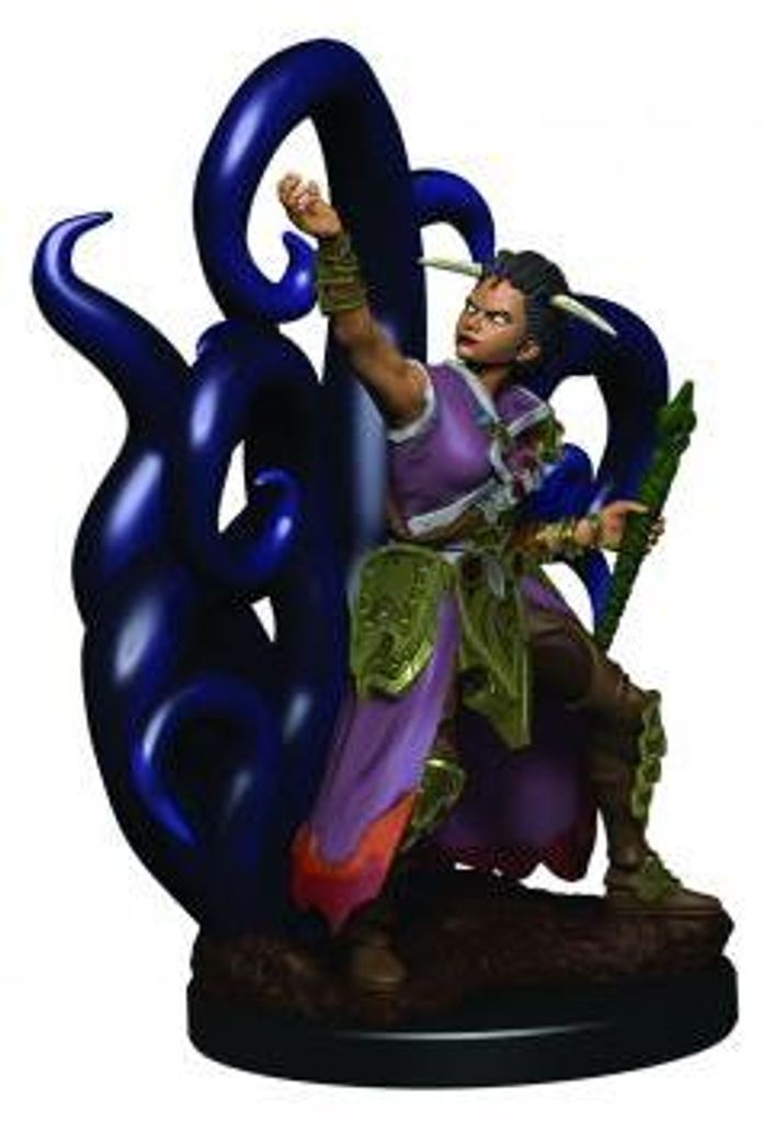 Dungeons & Dragons – Icons of the Realms Premium-Figuren: Weibliche menschliche Hexenmeisterin