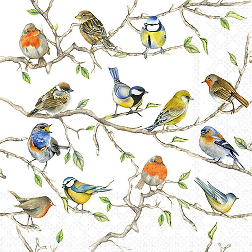 Servietten 25x25 cm - Birds meeting