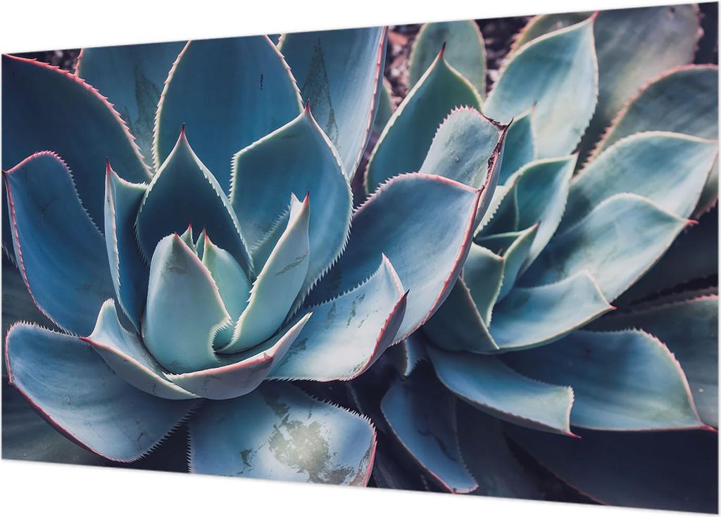 Fototapete - Wandbilder für Wohnzimmer - 416x254 - Dekorative Wandfolie - Modernes Design für Wanddekoration - Tapeten für Innenräume - Grüne ...