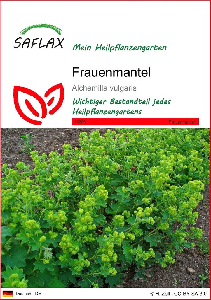 SAFLAX - Heilpflanzen - Frauenmantel - 100 Samen - Produktbild 