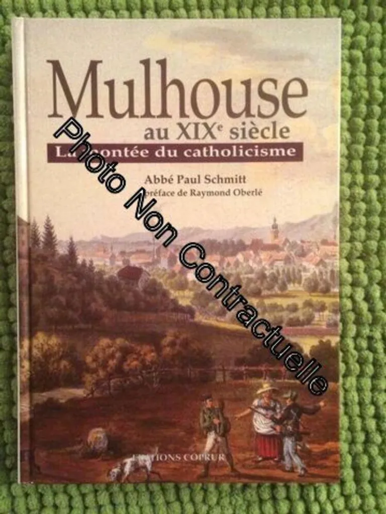 Mulhouse au XIXème Siècle La Montée du Catholicisme - Livre Histoire