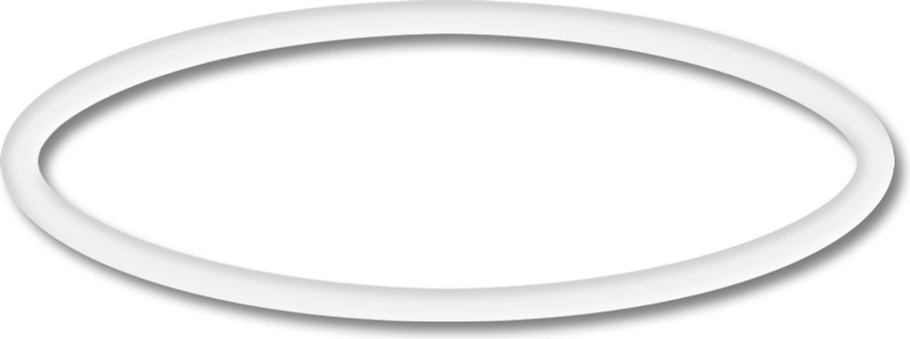 SunSun Ersatzteil für Druckteichfilter CPF-180/250 O-Ring 30 x 2,4 mm, Teichfilter mit UV-Lampe 11 W, 10000 l/h Teichfilteranlage