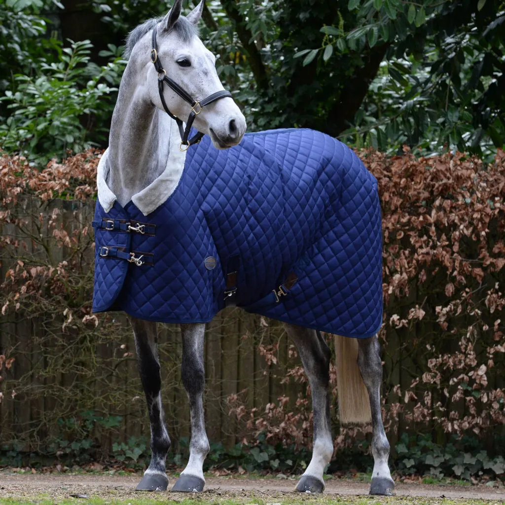 Couverture Cheval Hiver 250g Idéale pour le Box Weatherbeeta Comfitec
