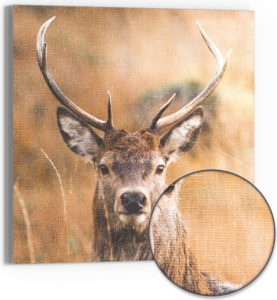DEQORI Hybrid Leinwand Bild 50x50 cm 'Wächter des Waldes' Wandbild Glas flach modern