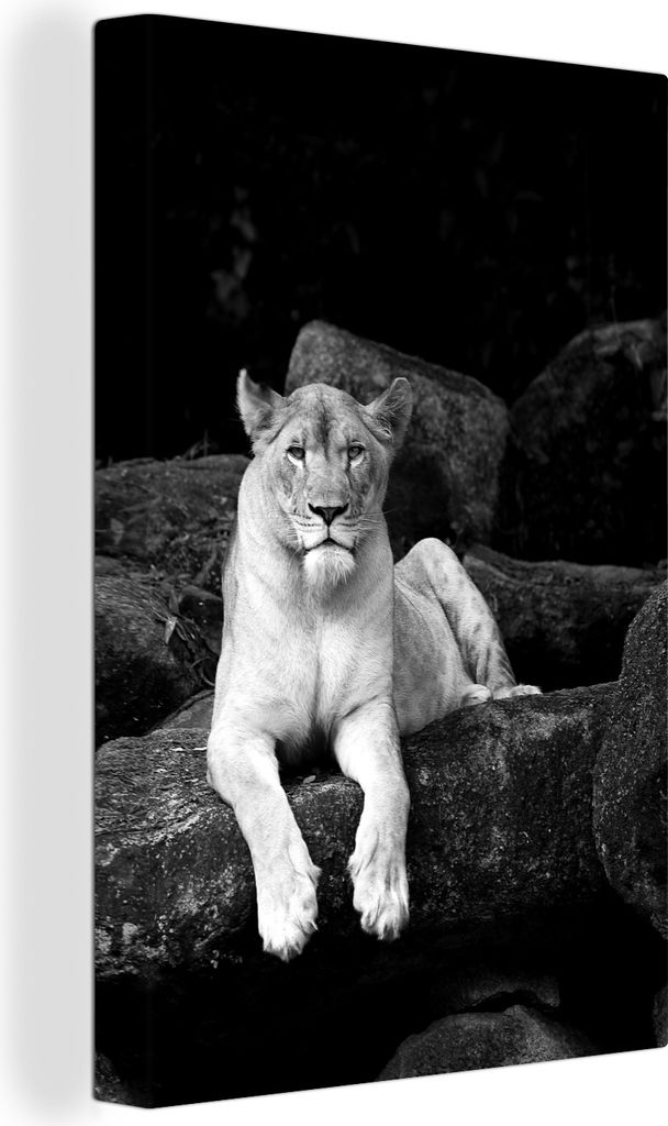 OneMillionCanvasses - Leinwandbilder - 90x140 cm, Löwin Porträt - schwarz und weiß, Wandbilder Kunstdruck Wanddekoration - Wandschmucke - Schl...
