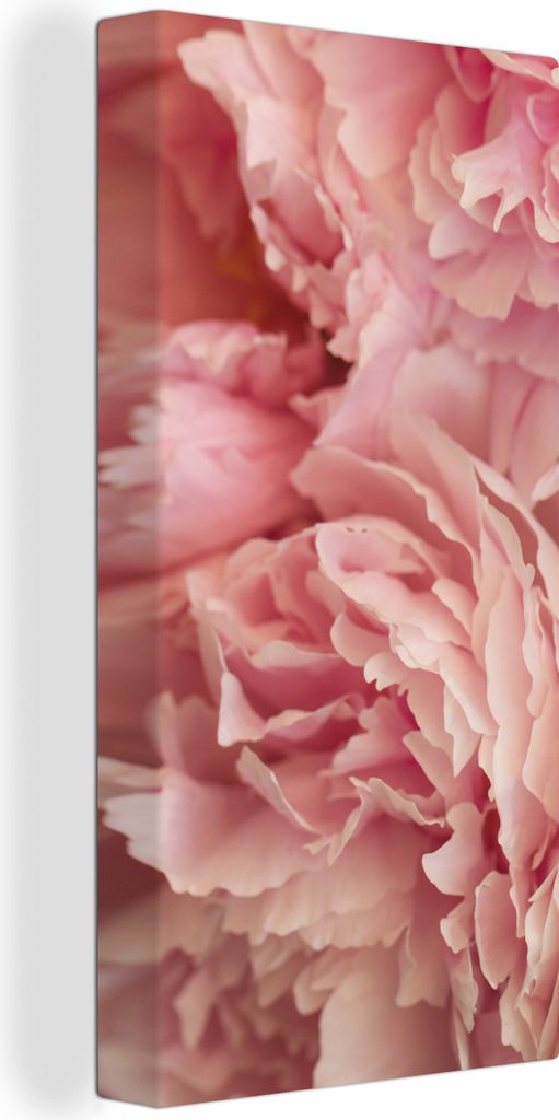 MuchoWow - Leinwandbilder - Draufsicht auf einen Strauß rosa Pfingstrosen, Wandbild, Wanddeko Bilder Wohnzimmer, 20x40 cm