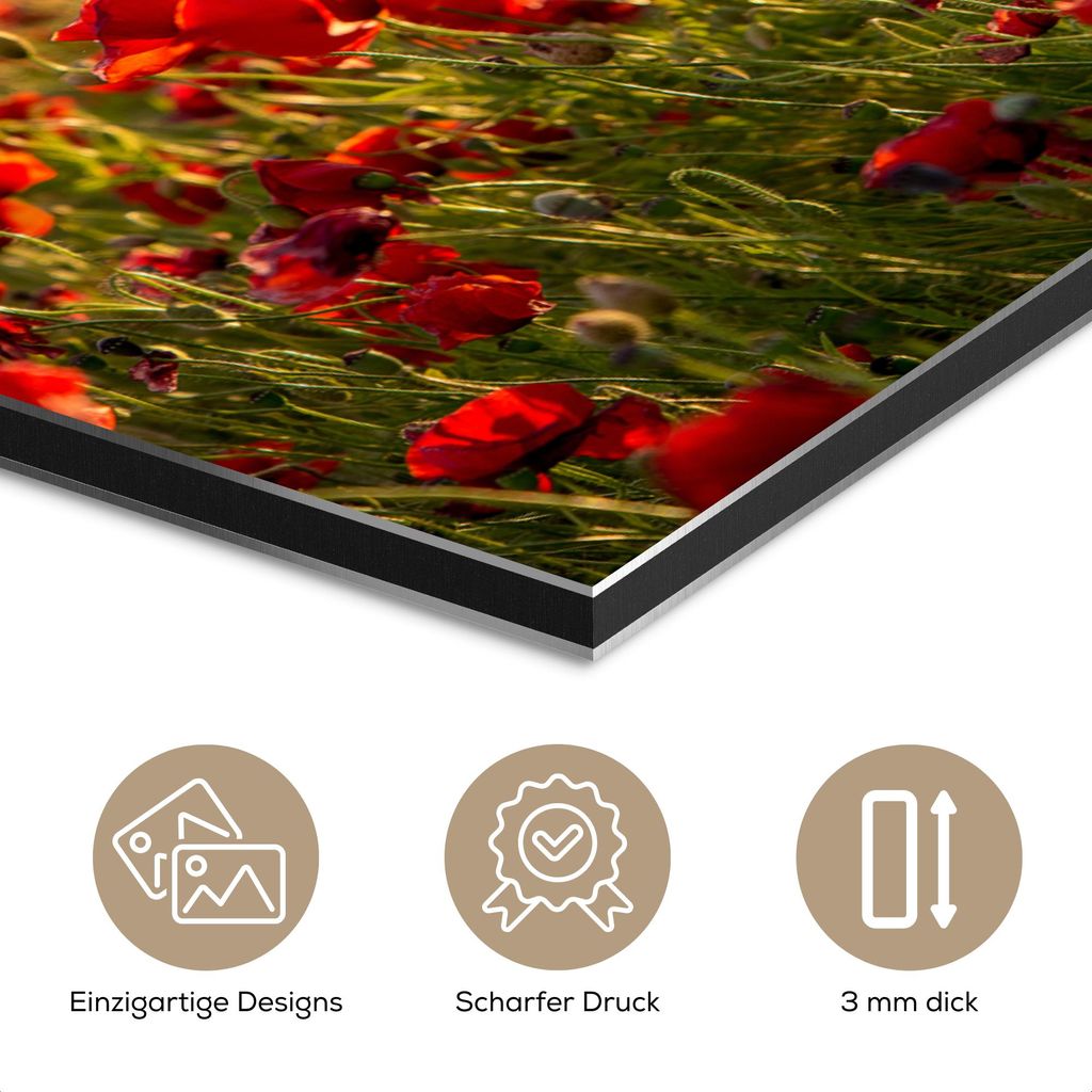MuchoWow Wanddekoration Metall Metallbild Wandkunst 150x100 cm Sonnenuntergang - Mohnblumen - Rot - Blumen - Feld - Natur MuchoWow Aluminium Gemäl...