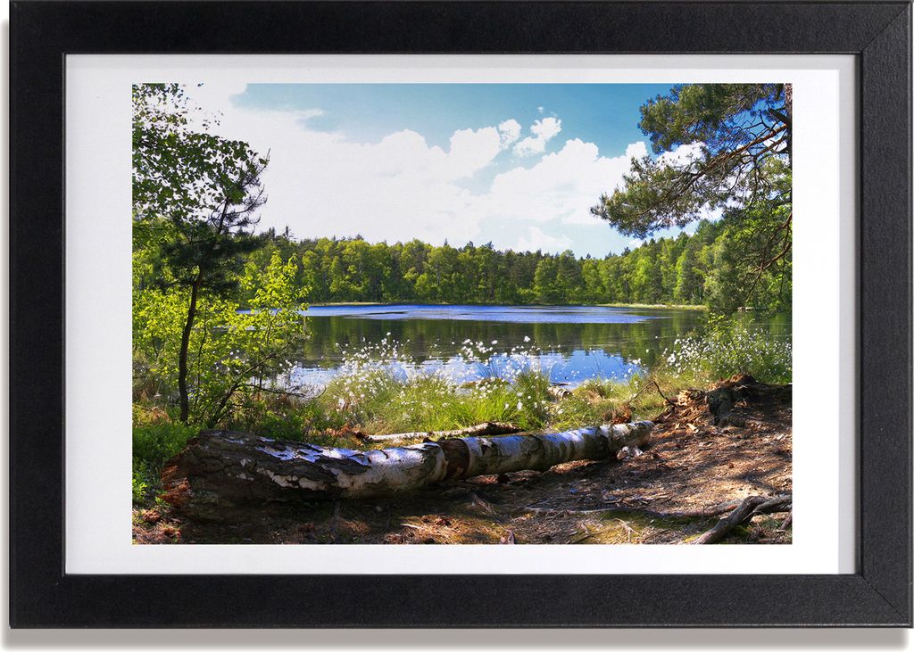 Bild 30x20 MDF-Rahmen, Wandkunst Waldpanorama Produktbild 