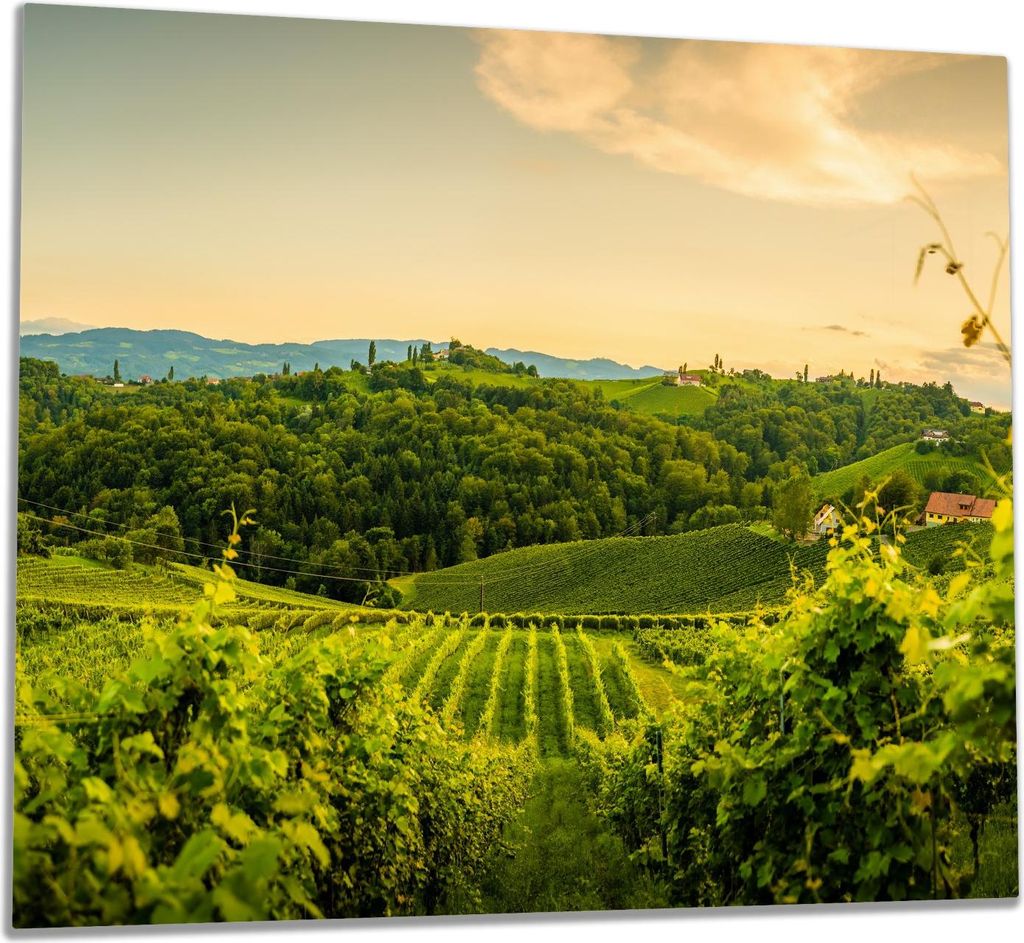 Wallario Herdabdeckplatte aus Glas, Größe 60 x 52 cm 1-teilig, Motiv Abendlicht über Weinbergen