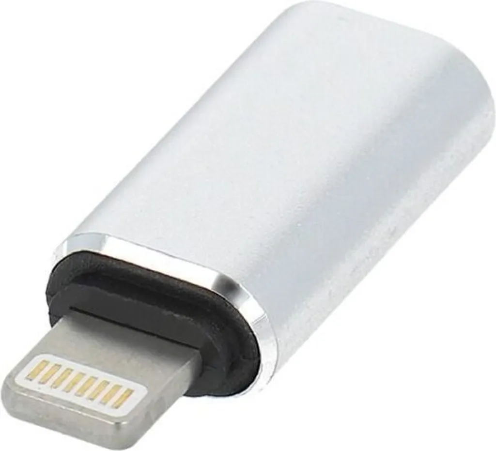 Mini Adattatore Tipo C a Lightning Argento - Perfetto per Viaggi